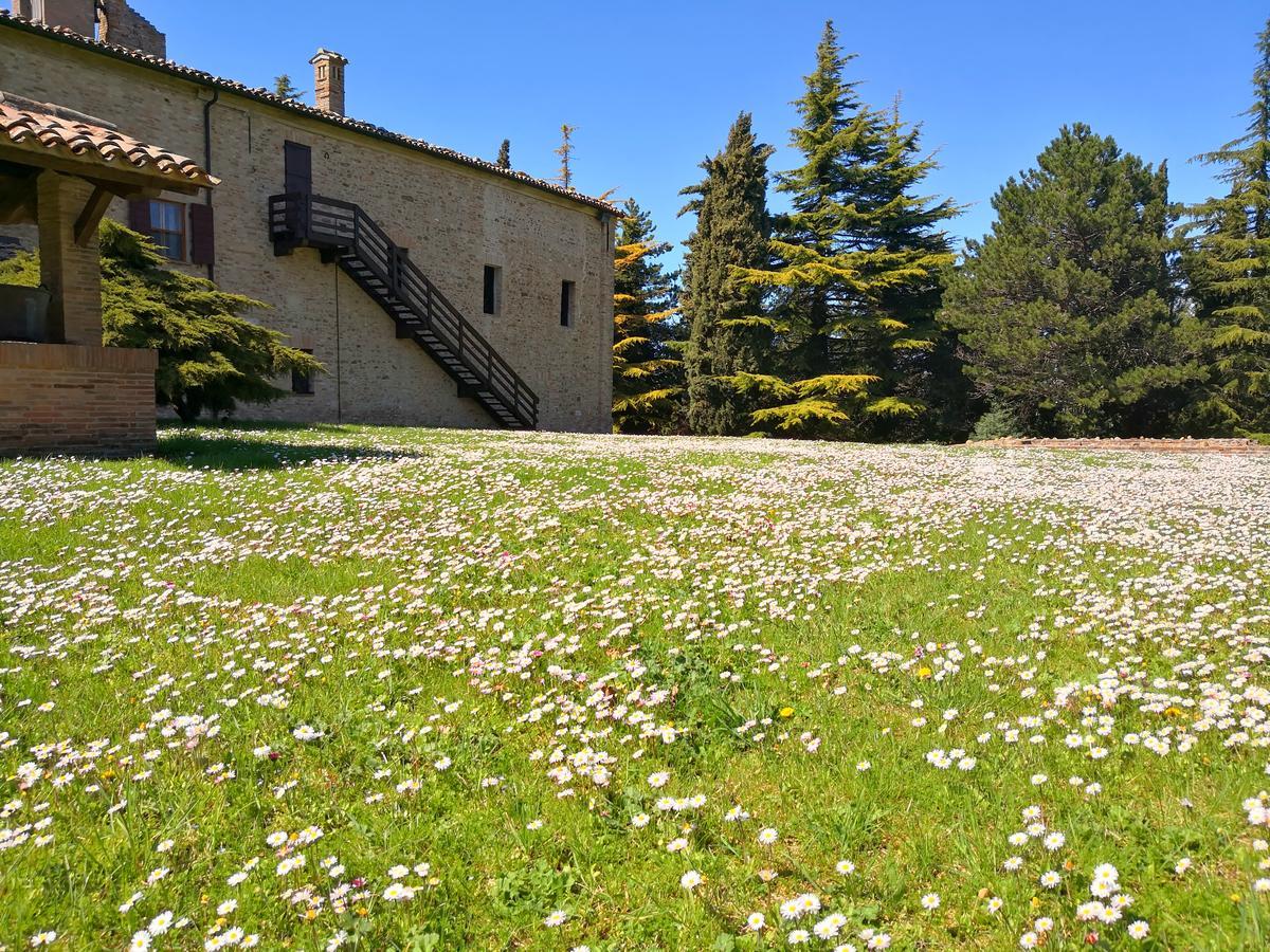 Bed and Breakfast Convento Di San Francesco Mondaino Zewnętrze zdjęcie